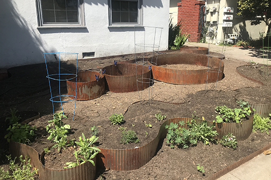 Berkeley garden beds